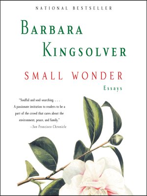 Small Wonder - Audiobook
